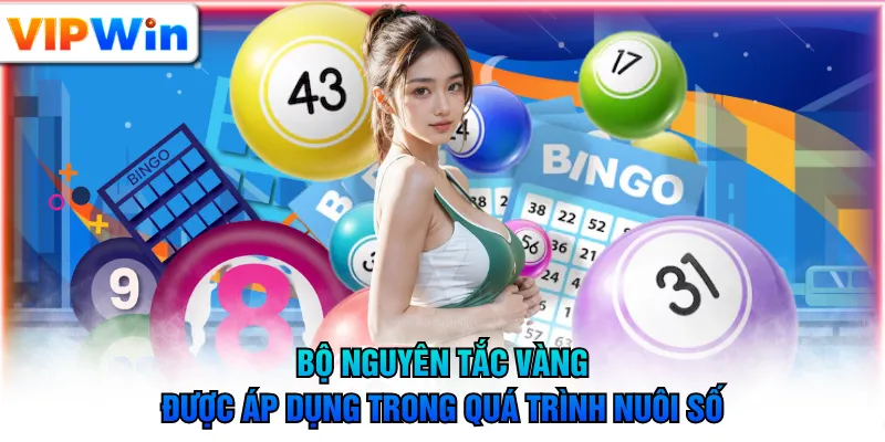 Bộ nguyên tắc vàng được áp dụng trong quá trình nuôi số